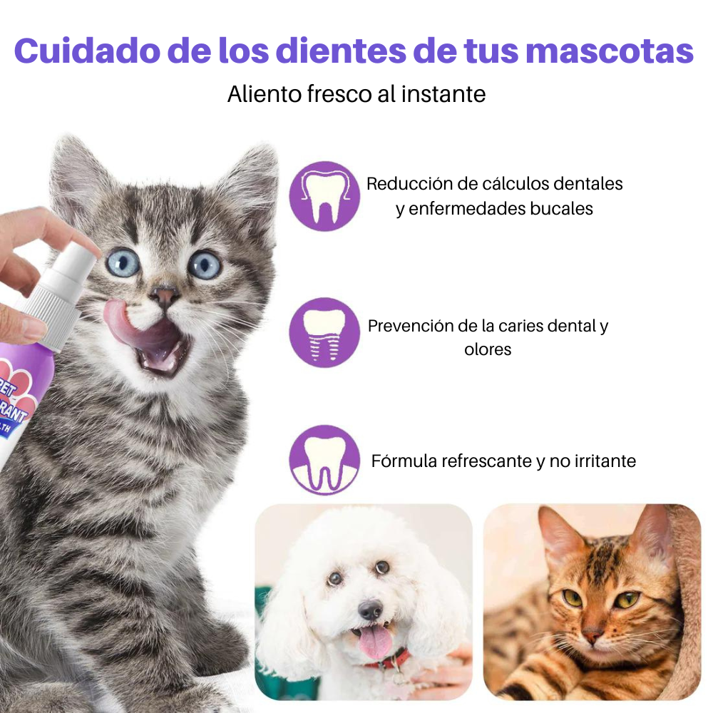 Spray de Limpeza Dentária para Animais